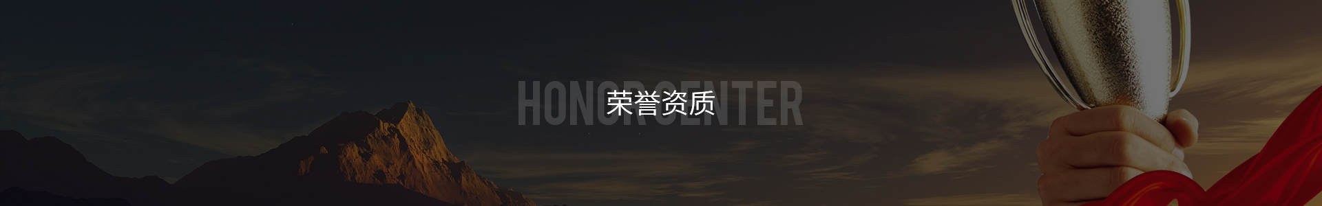 榮譽資(zi)質